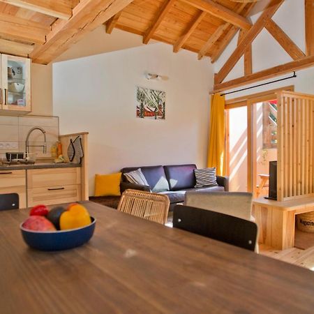 Petit Chalet Montagne 布里昂松 外观 照片